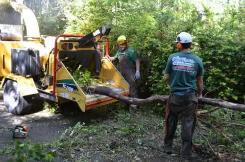 tree services Babson Park